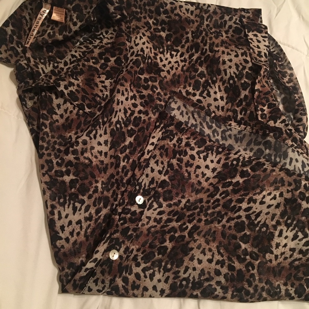 Leopard Sheer Top - Picture 3 of 5